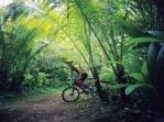 Jungle biking Jungle biking